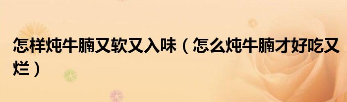 怎样炖牛腩又软又入味（怎么炖牛腩才好吃又烂）