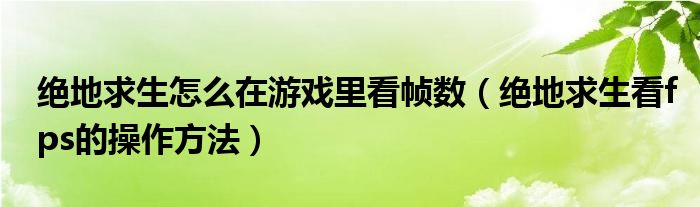 绝地求生怎么在游戏里看帧数（绝地求生看fps的操作方法）