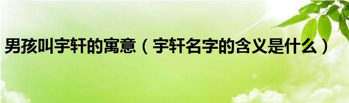 男孩叫宇轩的寓意（宇轩名字的含义是什么）