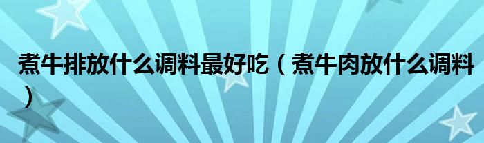 煮牛排放什么调料最好吃（煮牛肉放什么调料）