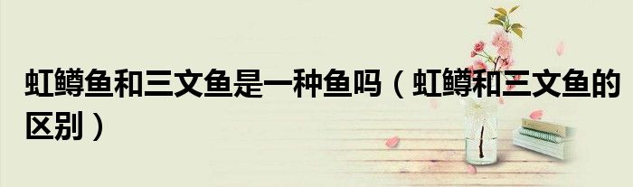 虹鳟鱼和三文鱼是一种鱼吗（虹鳟和三文鱼的区别）