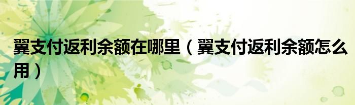 翼支付返利余额在哪里（翼支付返利余额怎么用）