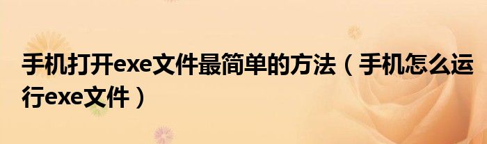 手机打开exe文件最简单的方法（手机怎么运行exe文件）
