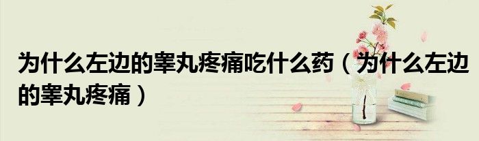 为什么左边的睾丸疼痛吃什么药（为什么左边的睾丸疼痛）