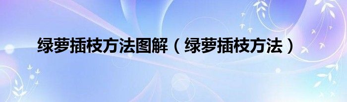 绿萝插枝方法图解（绿萝插枝方法）
