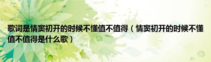 歌词是情窦初开的时候不懂值不值得（情窦初开的时候不懂值不值得是什么歌）