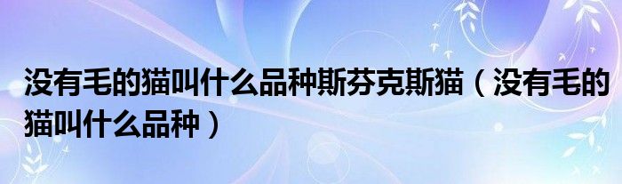 没有毛的猫叫什么品种斯芬克斯猫（没有毛的猫叫什么品种）