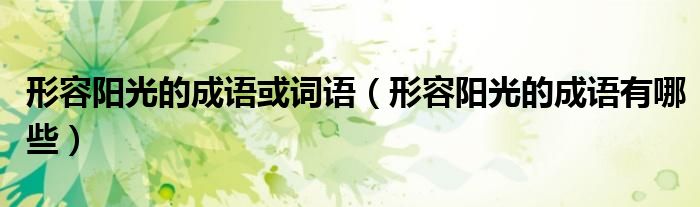 形容阳光的成语或词语（形容阳光的成语有哪些）