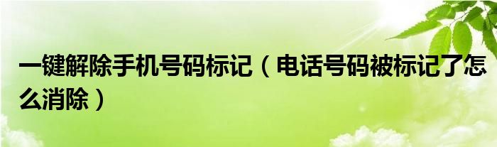 一键解除手机号码标记（电话号码被标记了怎么消除）