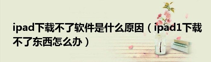 ipad下载不了软件是什么原因（ipad1下载不了东西怎么办）