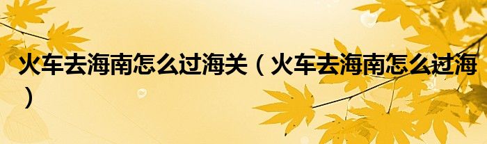 火车去海南怎么过海关（火车去海南怎么过海）