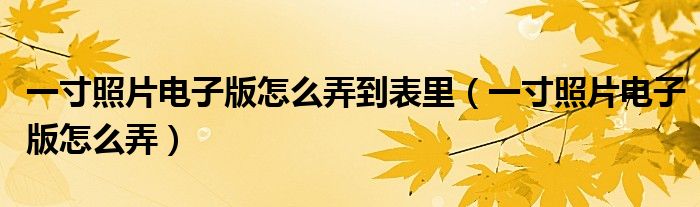 一寸照片电子版怎么弄到表里（一寸照片电子版怎么弄）