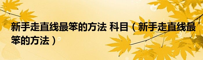 新手走直线最笨的方法 科目（新手走直线最笨的方法）
