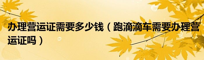 办理营运证需要多少钱（跑滴滴车需要办理营运证吗）