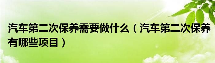 汽车第二次保养需要做什么（汽车第二次保养有哪些项目）
