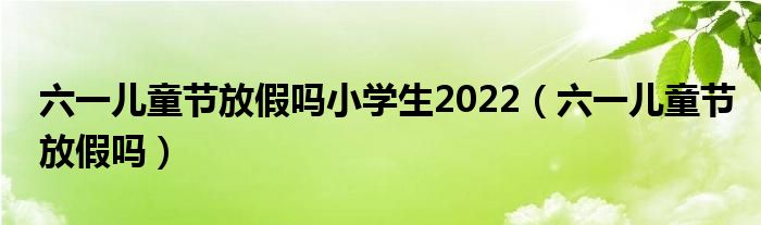 六一儿童节放假吗小学生2022（六一儿童节放假吗）