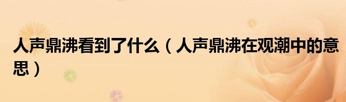 人声鼎沸看到了什么（人声鼎沸在观潮中的意思）