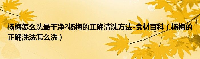 杨梅怎么洗最干净?杨梅的正确清洗方法-食材百科（杨梅的正确洗法怎么洗）