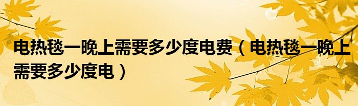 电热毯一晚上需要多少度电费（电热毯一晚上需要多少度电）