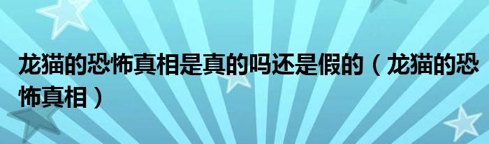 龙猫的恐怖真相是真的吗还是假的（龙猫的恐怖真相）