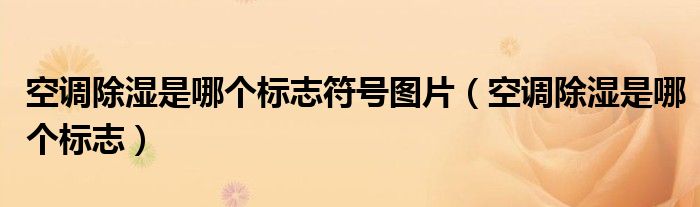 空调除湿是哪个标志符号图片（空调除湿是哪个标志）