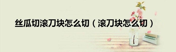 丝瓜切滚刀块怎么切（滚刀块怎么切）