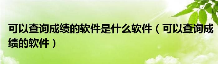 可以查询成绩的软件是什么软件（可以查询成绩的软件）
