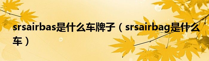 srsairbas是什么车牌子（srsairbag是什么车）