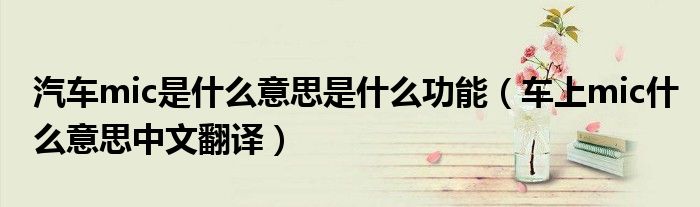 汽车mic是什么意思是什么功能（车上mic什么意思中文翻译）