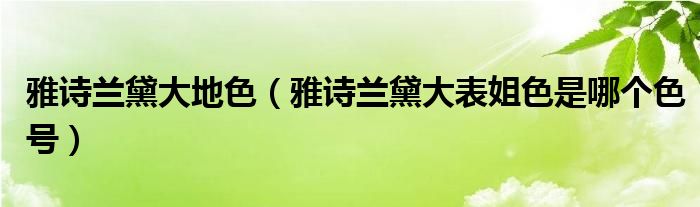 雅诗兰黛大地色（雅诗兰黛大表姐色是哪个色号）