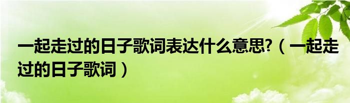 一起走过的日子歌词表达什么意思?（一起走过的日子歌词）