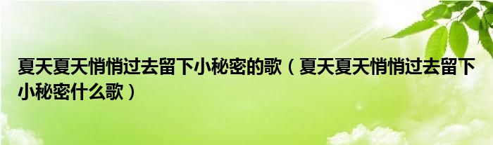 夏天夏天悄悄过去留下小秘密的歌（夏天夏天悄悄过去留下小秘密什么歌）