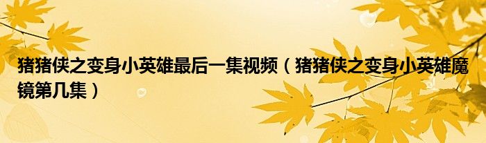 猪猪侠之变身小英雄最后一集视频（猪猪侠之变身小英雄魔镜第几集）