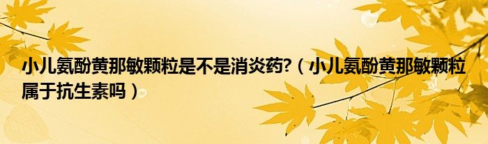 小儿氨酚黄那敏颗粒是不是消炎药?（小儿氨酚黄那敏颗粒属于抗生素吗）