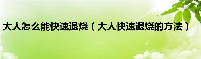 大人怎么能快速退烧（大人快速退烧的方法）