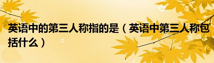 英语中的第三人称指的是（英语中第三人称包括什么）