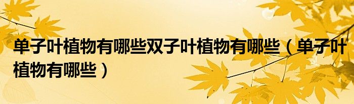 单子叶植物有哪些双子叶植物有哪些（单子叶植物有哪些）