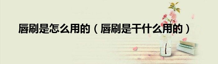 唇刷是怎么用的（唇刷是干什么用的）