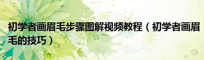 初学者画眉毛步骤图解视频教程（初学者画眉毛的技巧）