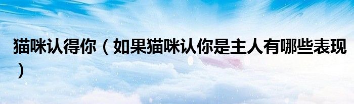 猫咪认得你（如果猫咪认你是主人有哪些表现）