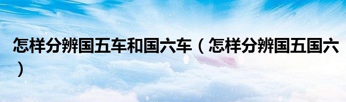 怎样分辨国五车和国六车（怎样分辨国五国六）