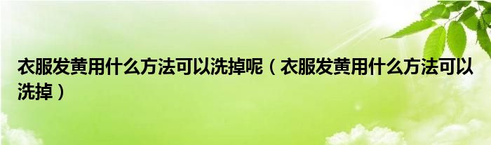 衣服发黄用什么方法可以洗掉呢（衣服发黄用什么方法可以洗掉）
