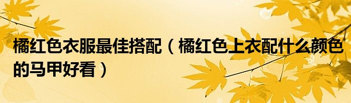 橘红色衣服最佳搭配（橘红色上衣配什么颜色的马甲好看）