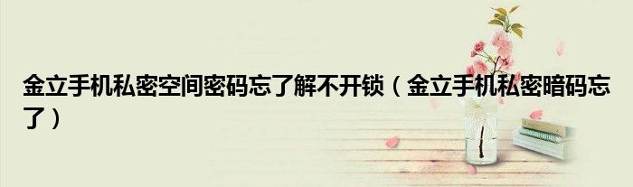 金立手机私密空间密码忘了解不开锁（金立手机私密暗码忘了）