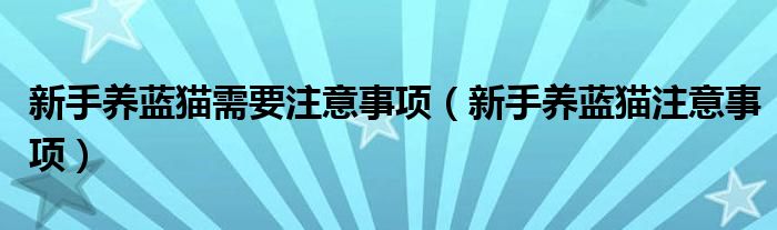 新手养蓝猫需要注意事项（新手养蓝猫注意事项）