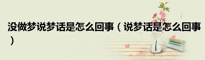没做梦说梦话是怎么回事（说梦话是怎么回事）