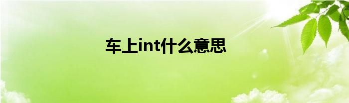 车上int什么意思
