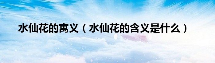 水仙花的寓义（水仙花的含义是什么）
