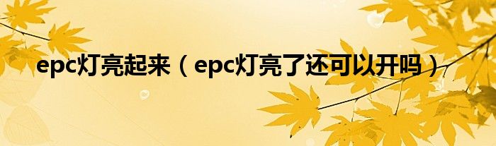 epc灯亮起来（epc灯亮了还可以开吗）