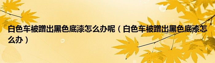 白色车被蹭出黑色底漆怎么办呢（白色车被蹭出黑色底漆怎么办）